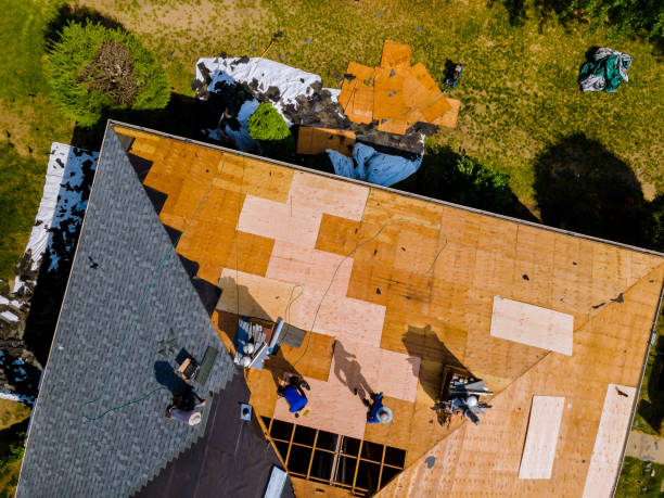 Best New Roof Installation  in Demorest, GA