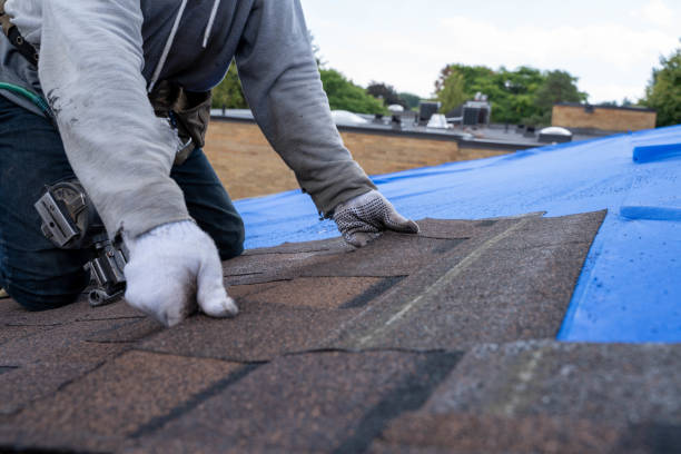 Best Commercial Roofing Services  in Demorest, GA