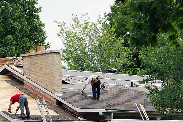 Best Storm Damage Roof Repair  in Demorest, GA