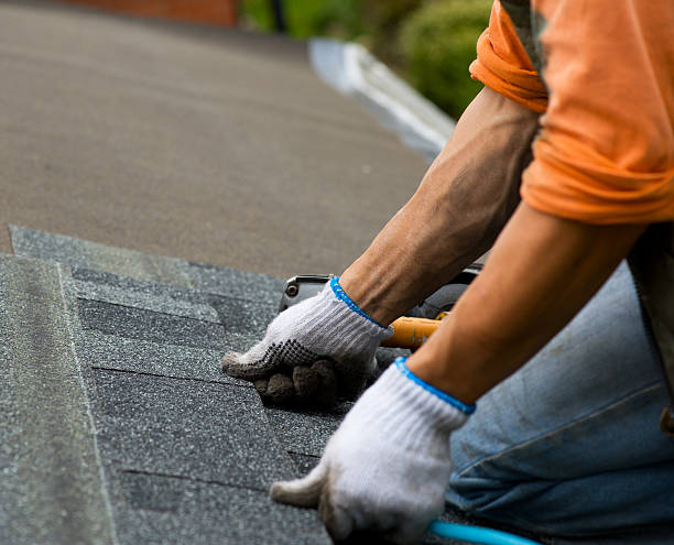 Best Shingle Roofing Installation  in Demorest, GA