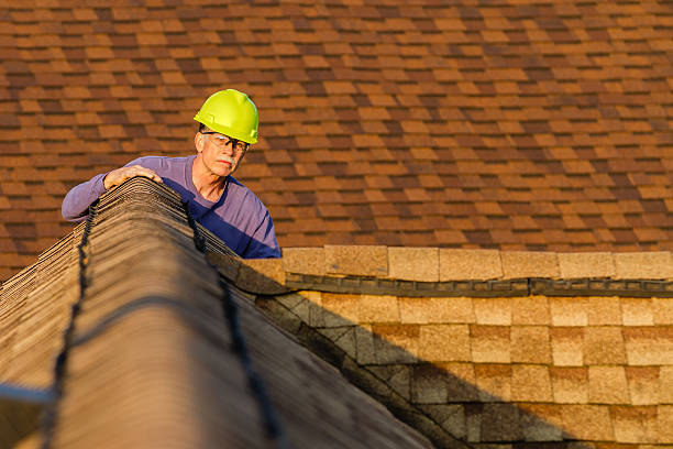 Best Roof Restoration Services  in Demorest, GA